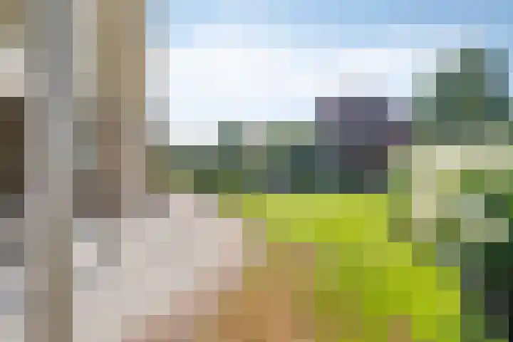 Oostmoer 34 Nispen thumbnail 58