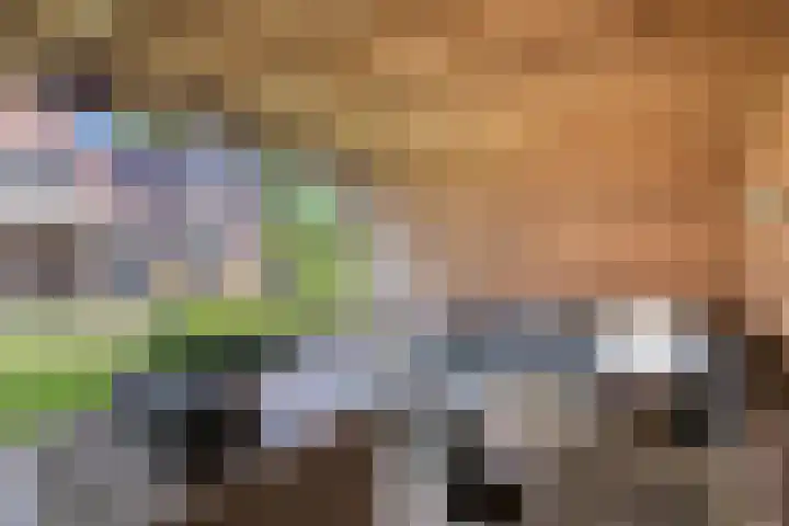 Oostmoer 34 Nispen thumbnail 63
