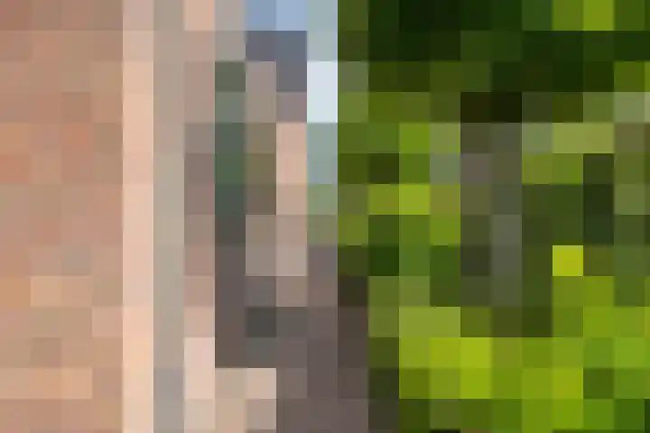 Oostmoer 34 Nispen thumbnail 68