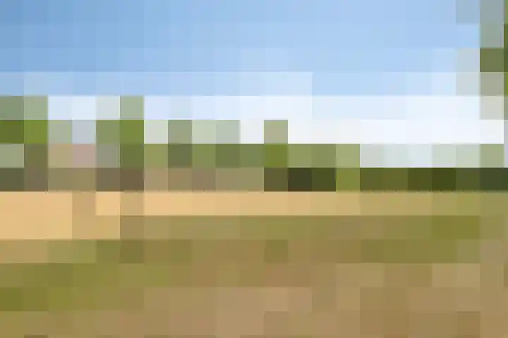 Oostmoer 34 Nispen thumbnail 76