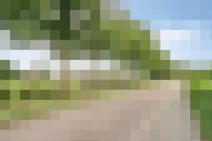 Oostmoer 34 Nispen thumbnail 79