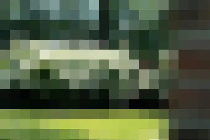 Oostmoer 34 Nispen thumbnail 83