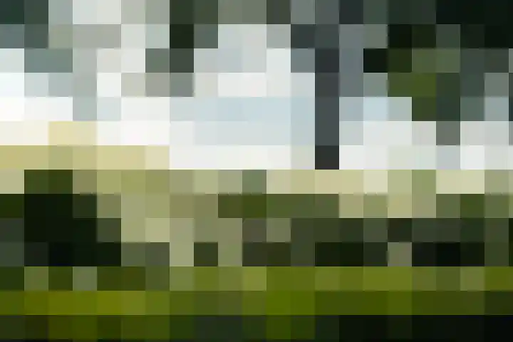 Oostmoer 34 Nispen thumbnail 84