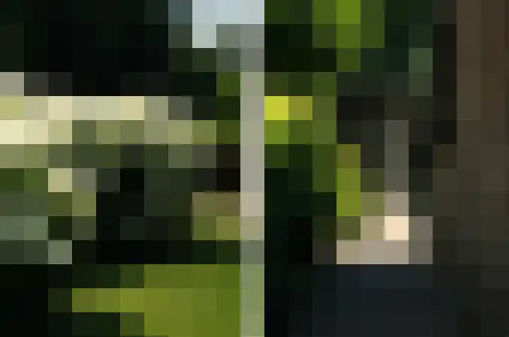 Oostmoer 34 Nispen thumbnail 86
