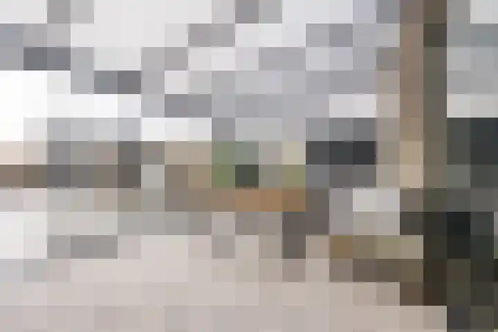 Oostmoer 42 Bergen op Zoom thumbnail 18