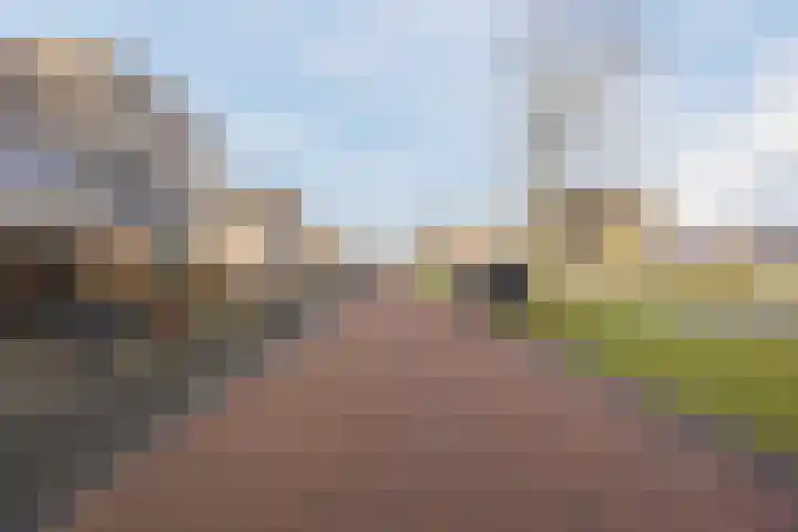 Oostmoer 42 Bergen op Zoom thumbnail 53