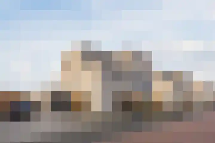 Oostmoer 42 Bergen op Zoom thumbnail 57