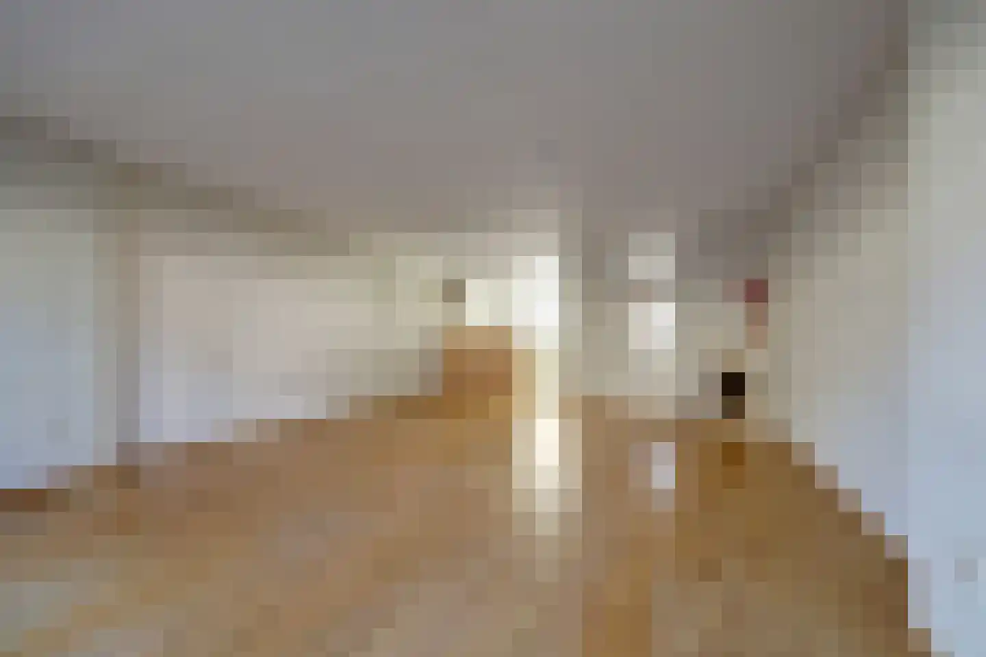 Oostmolenpad 61 Gouda thumbnail 12