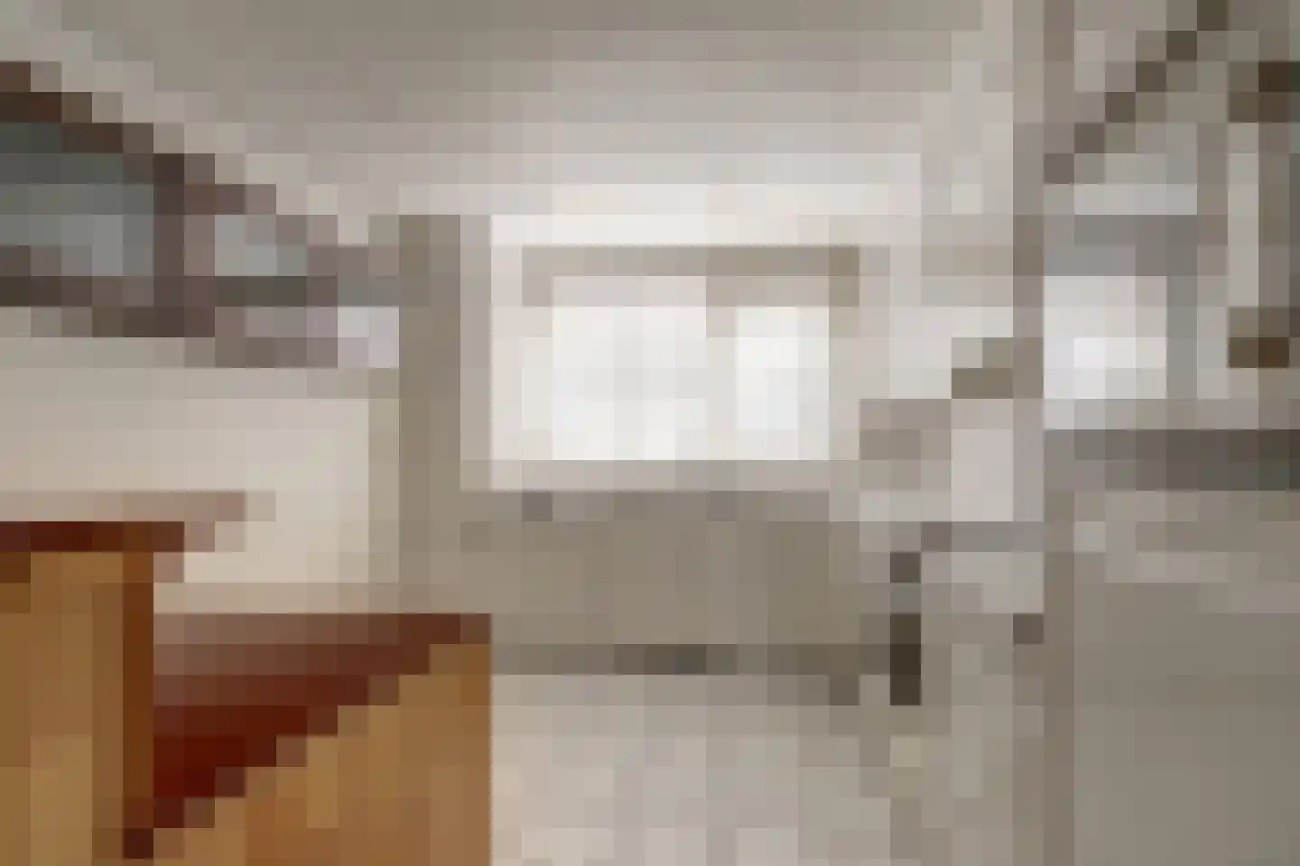 Oostmolenpad 61 Gouda thumbnail 13
