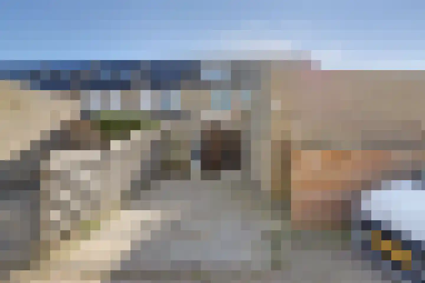 Oostmolenpad 61 Gouda thumbnail 34