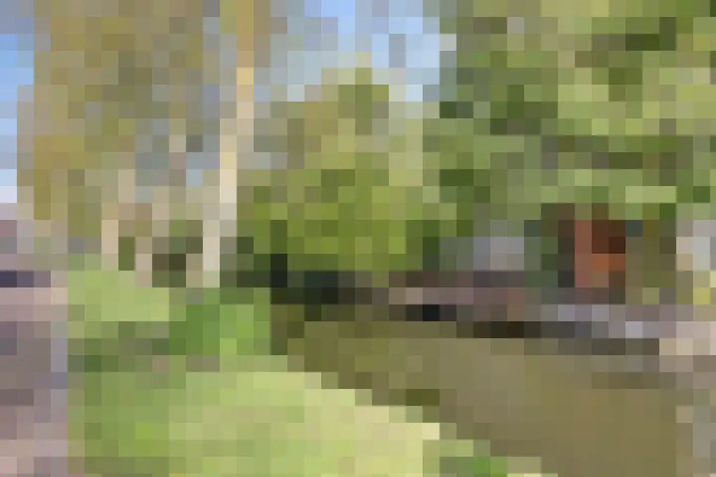 Oostmolenpad 61 Gouda thumbnail 35