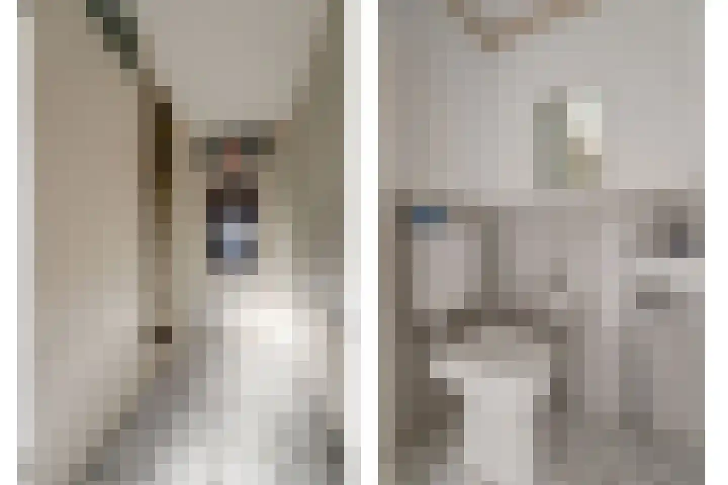 Oostmolenpad 61 Gouda thumbnail 8