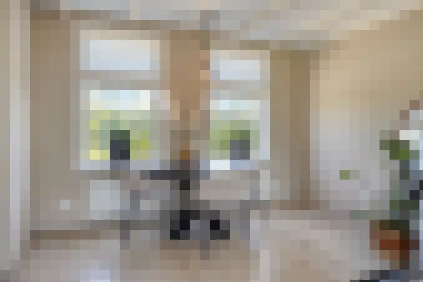 Oostmolenweg 10 Kloetinge thumbnail 12