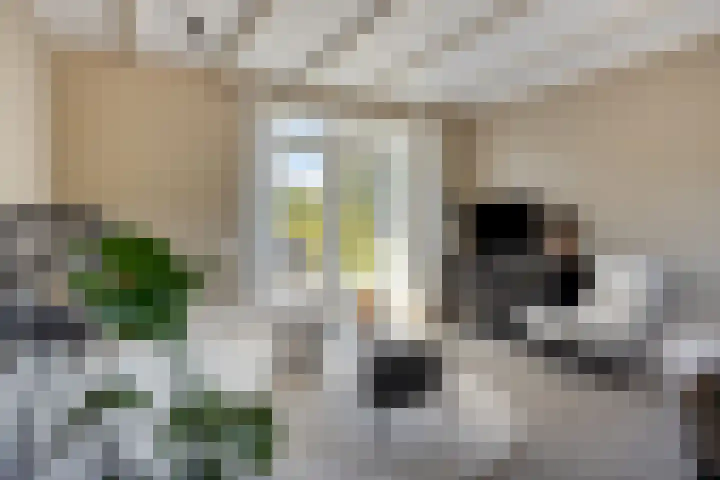 Oostmolenweg 10 Kloetinge thumbnail 14