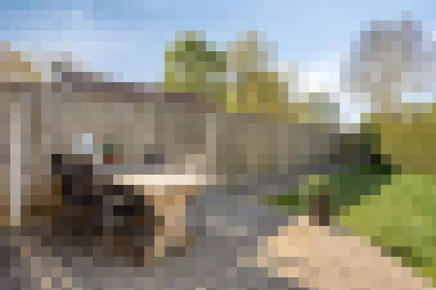 Oostmolenweg 10 Kloetinge thumbnail 34