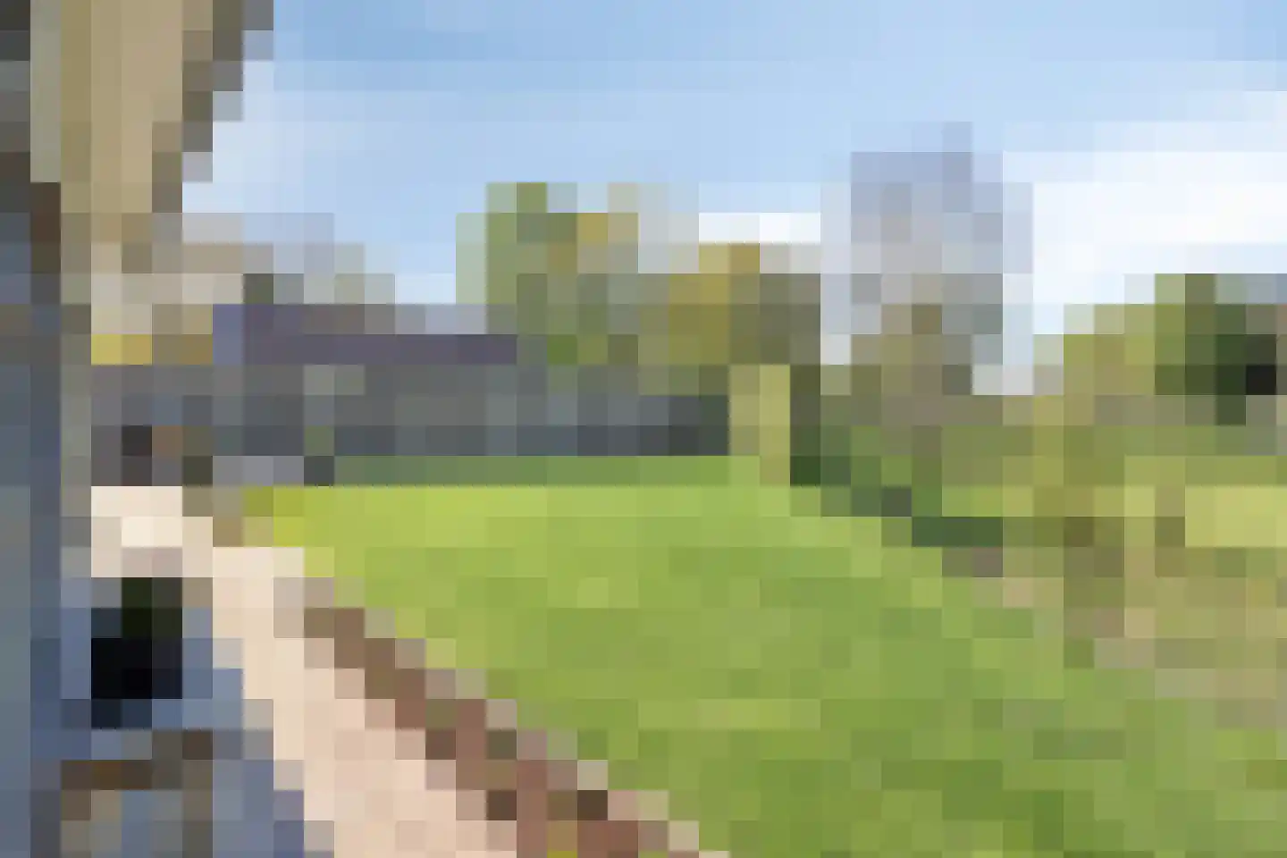 Oostmolenweg 10 Kloetinge thumbnail 38