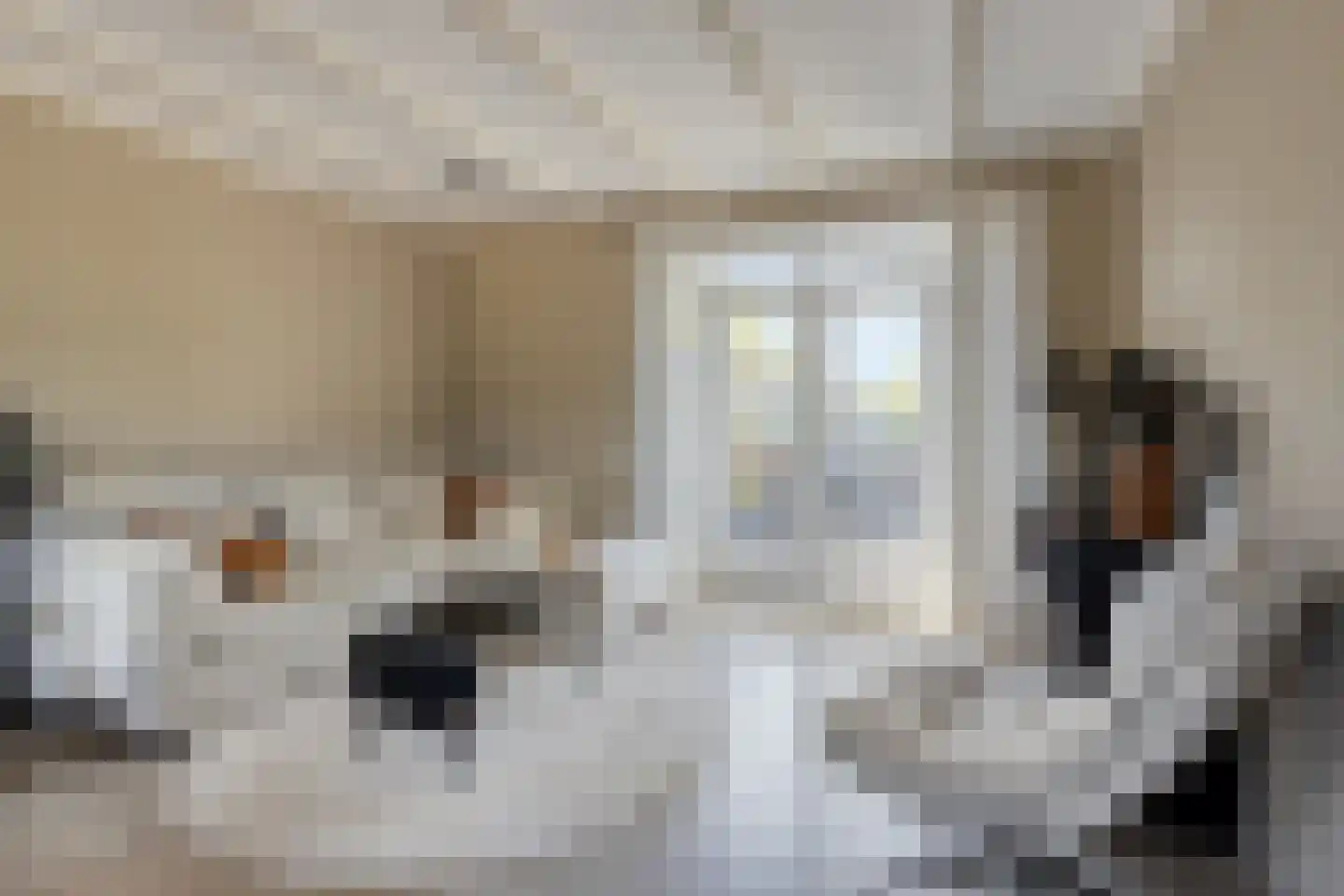 Oostmolenweg 10 Kloetinge thumbnail 9
