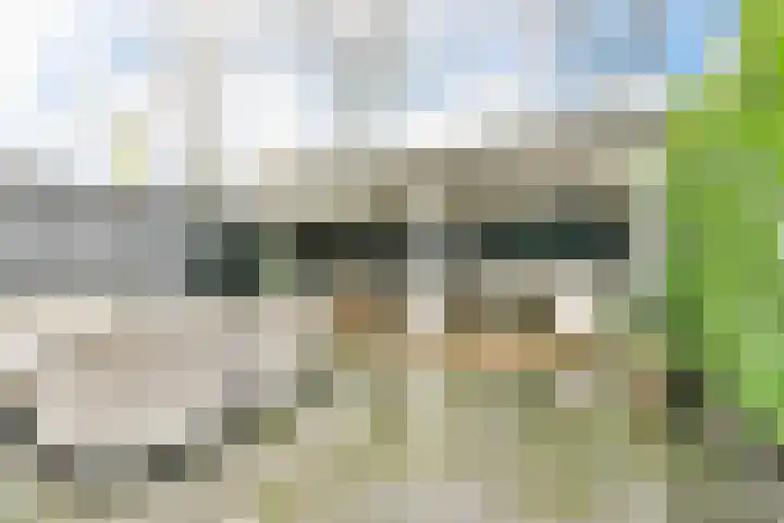 Oostmoor 4 Nieuw-Vennep thumbnail 19