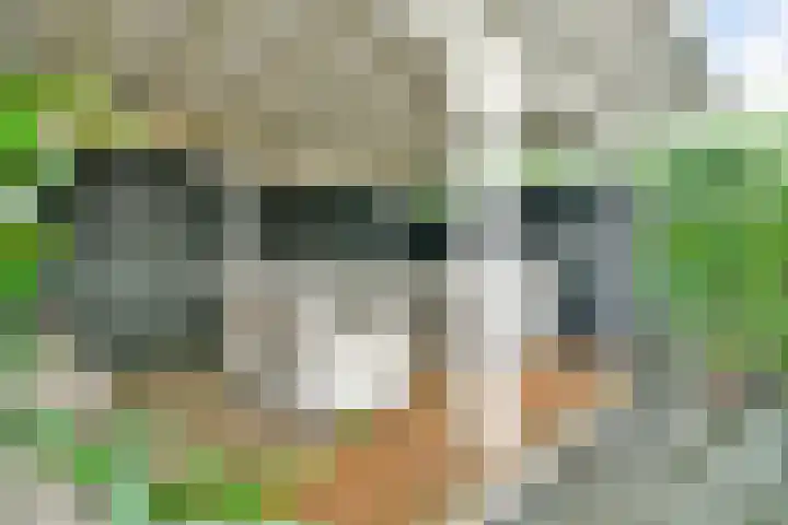 Oostmoor 4 Nieuw-Vennep thumbnail 20
