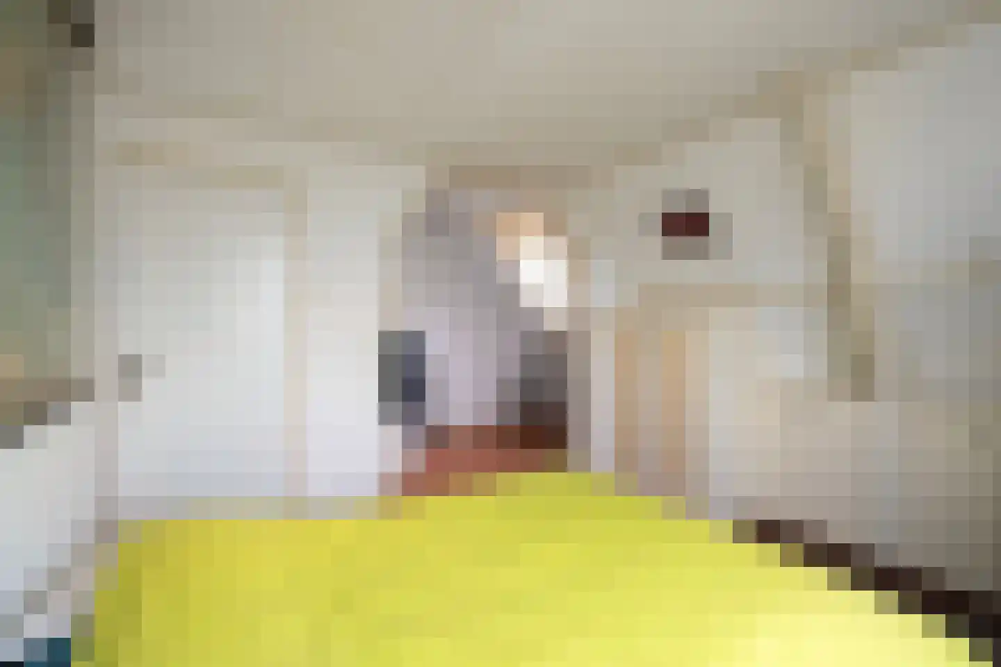 Oostoeverweg 3 Den Helder thumbnail 24