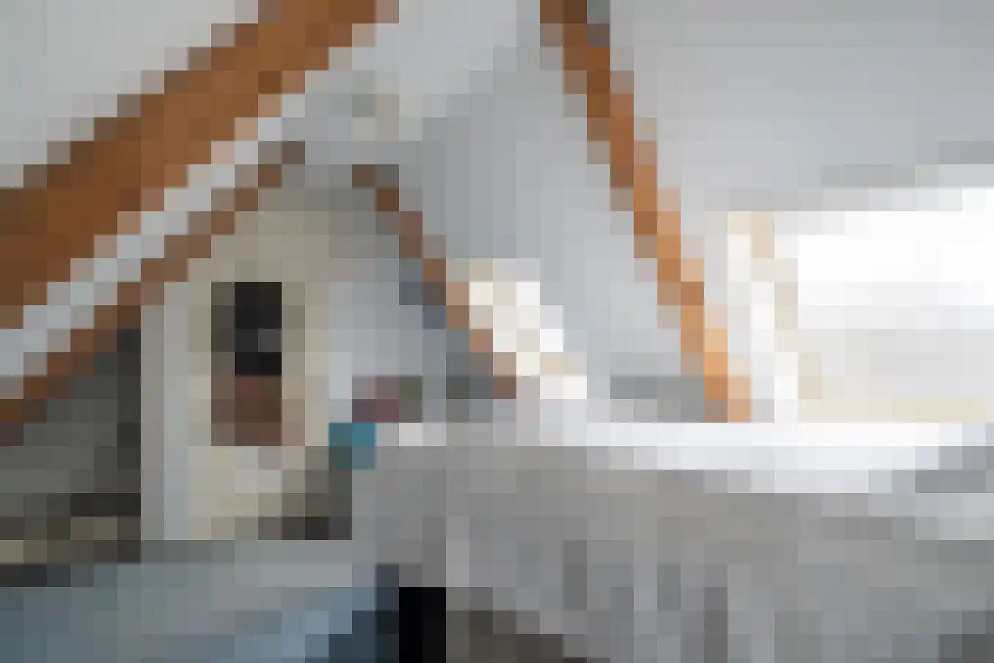 Oostoeverweg 3 Den Helder thumbnail 31