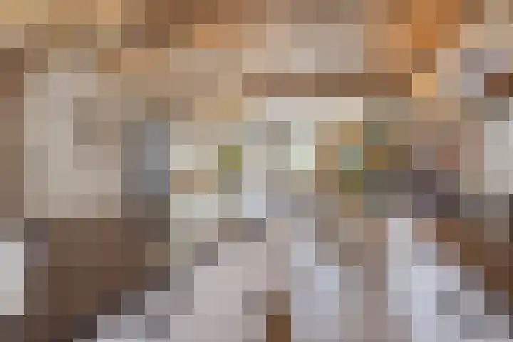 Oostplaat 10 Bergen op Zoom thumbnail 12