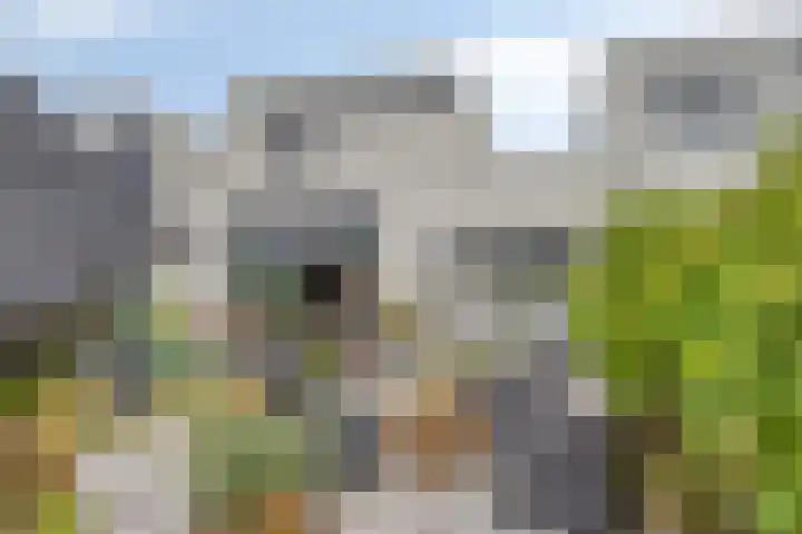 Oostplaat 10 Bergen op Zoom thumbnail 22