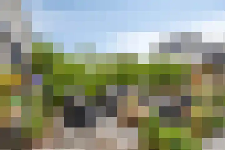 Oostplaat 10 Bergen op Zoom thumbnail 23