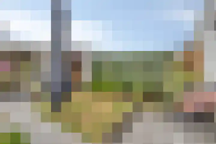 Oostplaat 10 Bergen op Zoom thumbnail 24