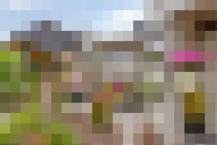 Oostplaat 10 Bergen op Zoom thumbnail 25