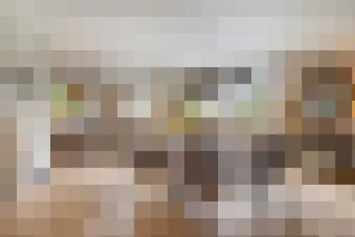 Oostplaat 10 Bergen op Zoom thumbnail 5