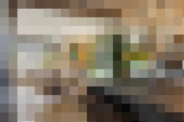 Oostplaat 10 Bergen op Zoom thumbnail 7