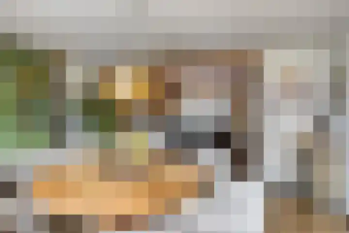Oostplaat 10 Bergen op Zoom thumbnail 8