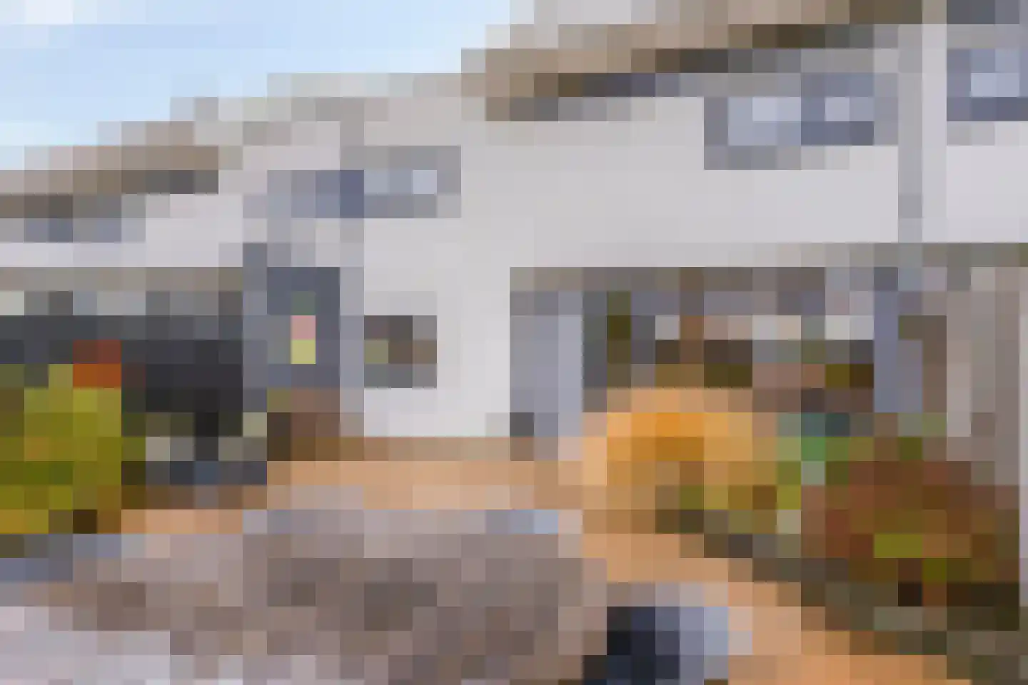 Oostplaat 47 Bergen op Zoom thumbnail 32