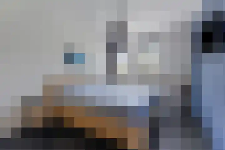 Oostplaat 59 Bergen op Zoom thumbnail 4