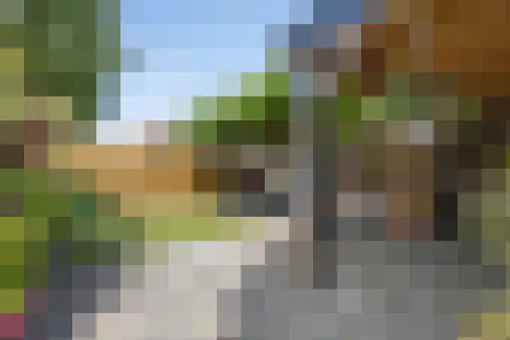 Oostplaat 59 Bergen op Zoom thumbnail 5