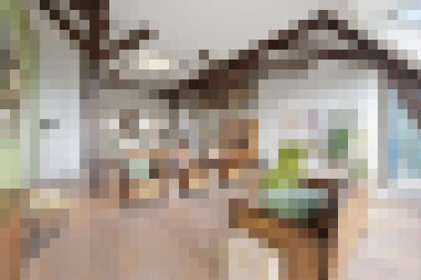 Oostplantsoen 100 Delft thumbnail 10
