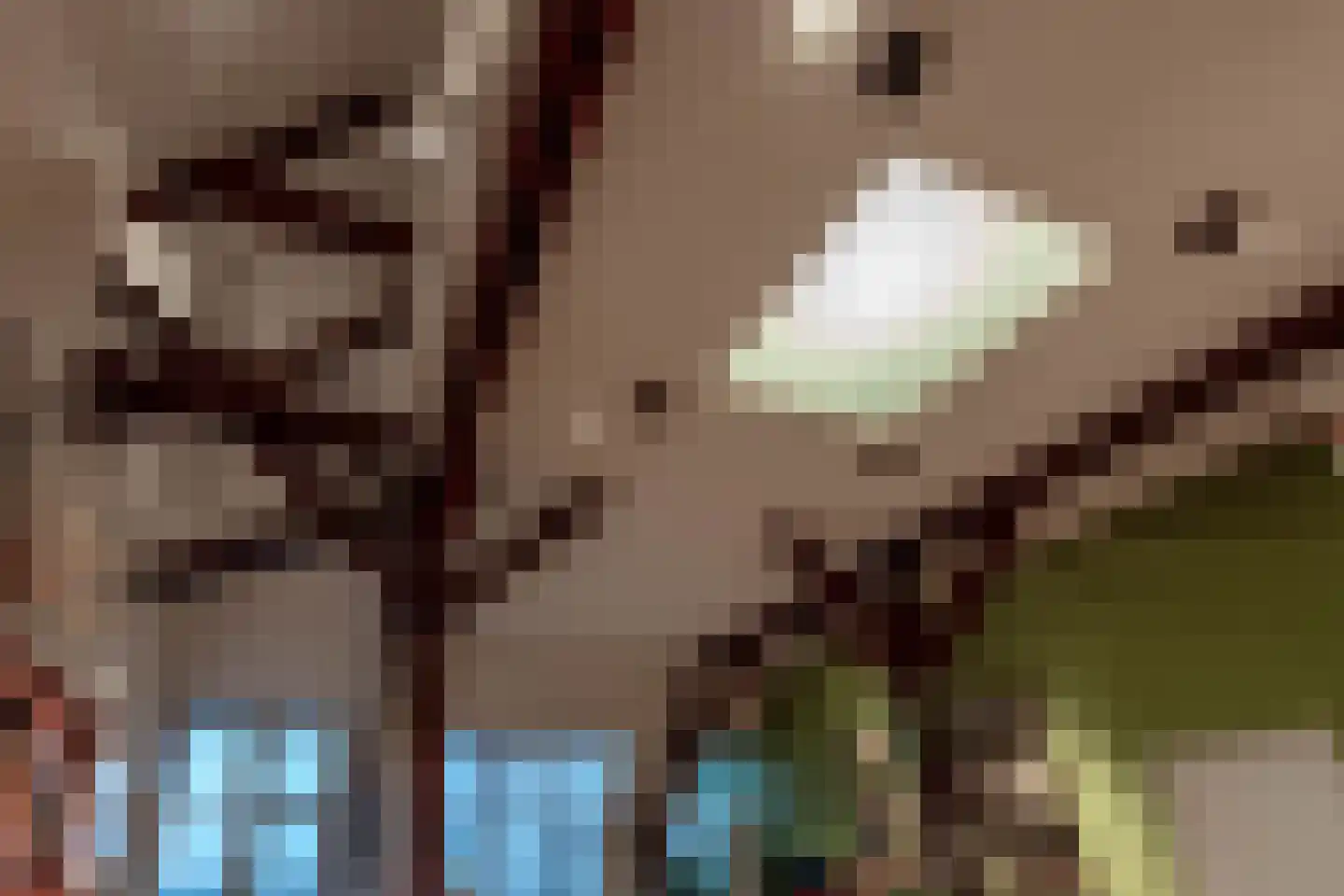Oostplantsoen 100 Delft thumbnail 23