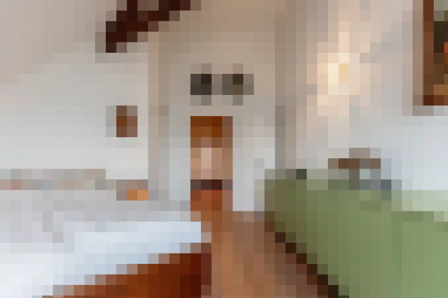 Oostplantsoen 100 Delft thumbnail 32