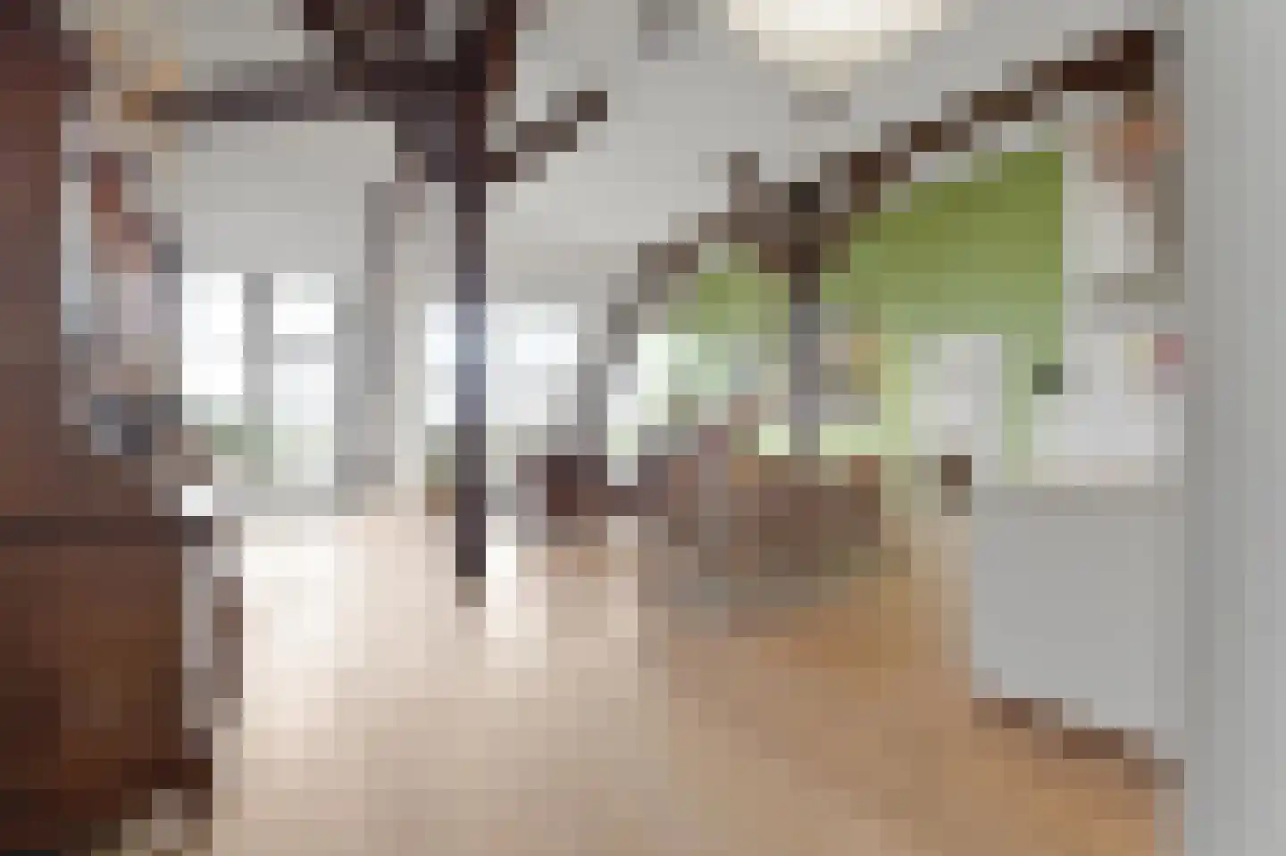 Oostplantsoen 100 Delft thumbnail 9