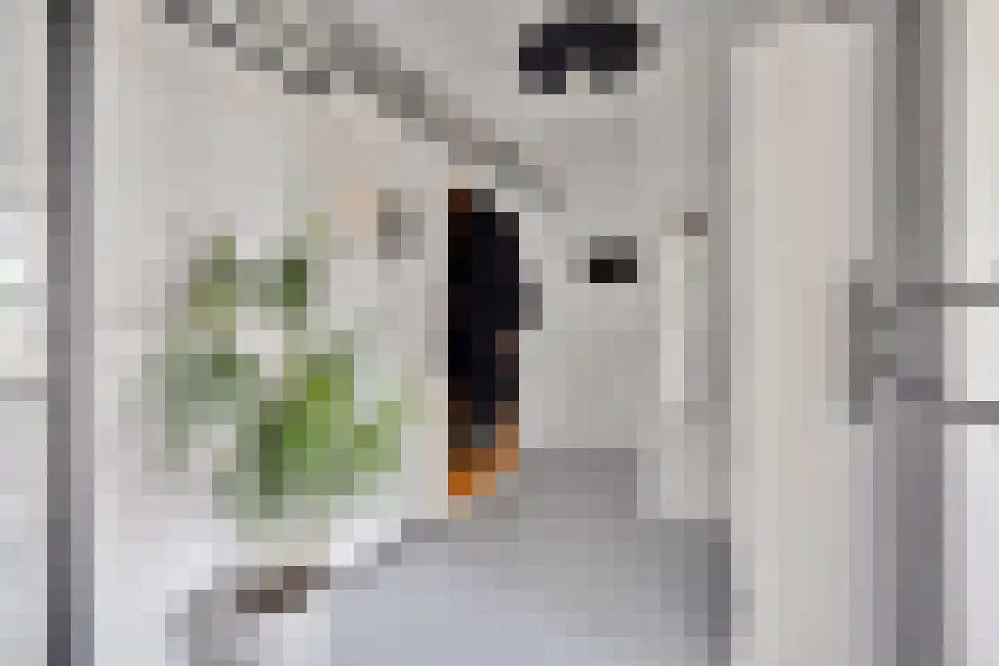 Oostplein 104 Rotterdam thumbnail 10