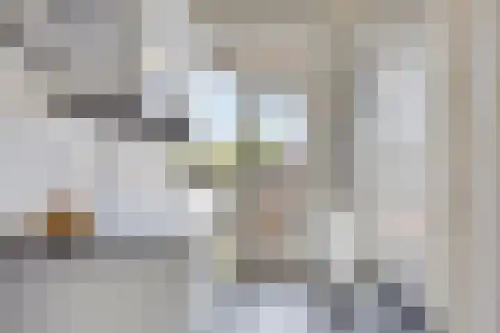 Oostplein 110 Rotterdam thumbnail 10