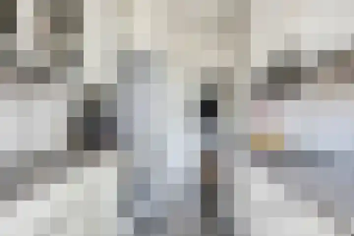 Oostplein 110 Rotterdam thumbnail 11