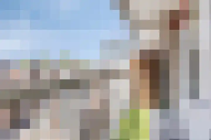 Oostplein 110 Rotterdam thumbnail 23