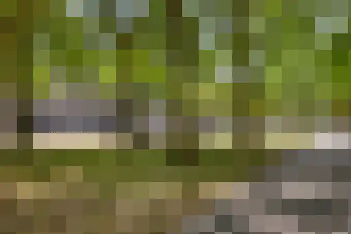 Oostplein 110 Rotterdam thumbnail 24
