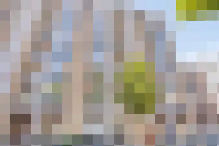 Oostplein 110 Rotterdam thumbnail 27