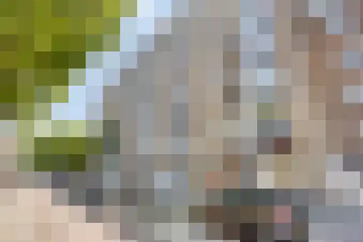 Oostplein 110 Rotterdam thumbnail 30