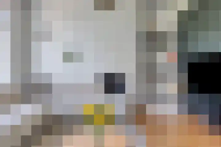 Oostplein 110 Rotterdam thumbnail 4