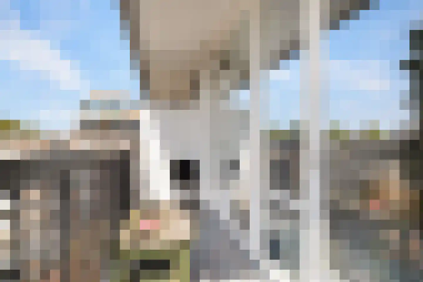 Oostplein 126 Rotterdam thumbnail 15