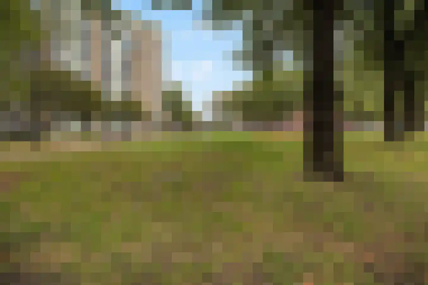Oostplein 126 Rotterdam thumbnail 29